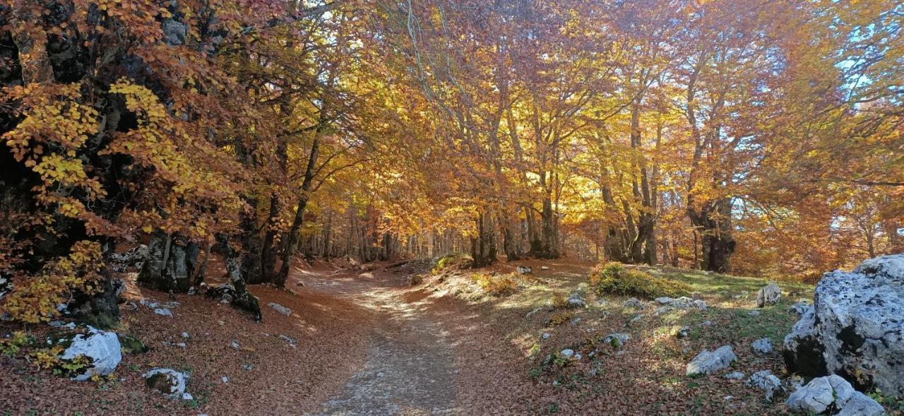 La Pigna Sbarazzina Appartamento Rocca di Cambio Esterno foto